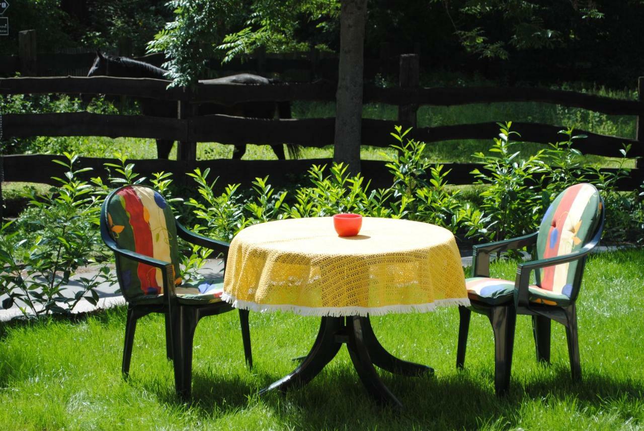 Ferienwohnung An Der Gramme Niederzimmern Extérieur photo